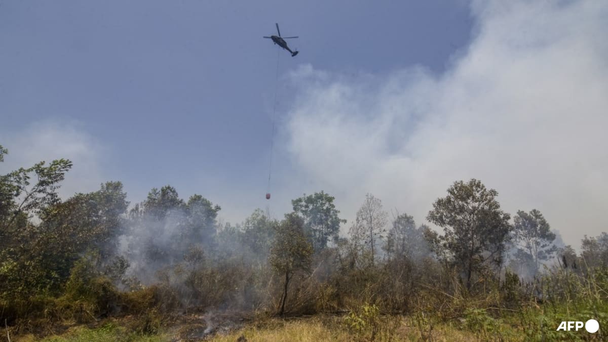 Helikopter menjatuhkan air untuk memadamkan kebakaran hutan dan lahan di Kalimantan Selatan