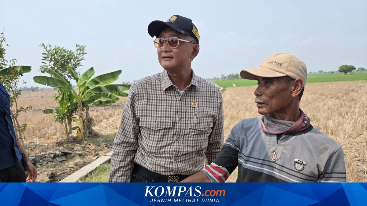 Menteri PU Dody Hanggodo saat melakukan sidak mendadak di area persawahan kering di Bekasi