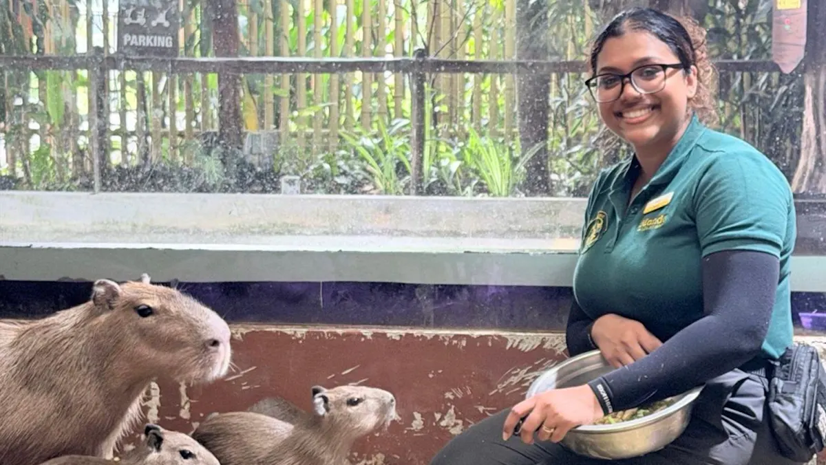 Rutraajni Gurusamy Kaunder tersenyum saat merawat satwa di River Wonders Singapura