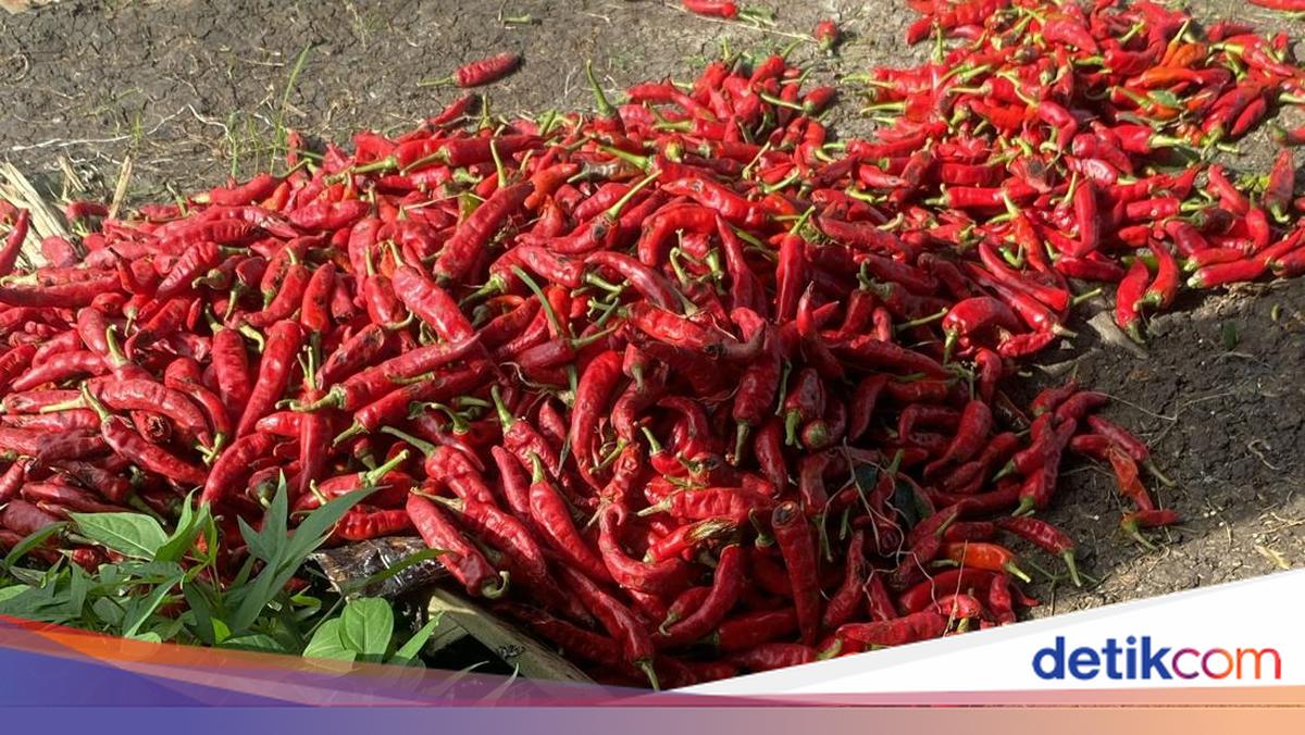 Tumpukan cabai merah dan cabai caplak di Pasar Sukaramai Medan