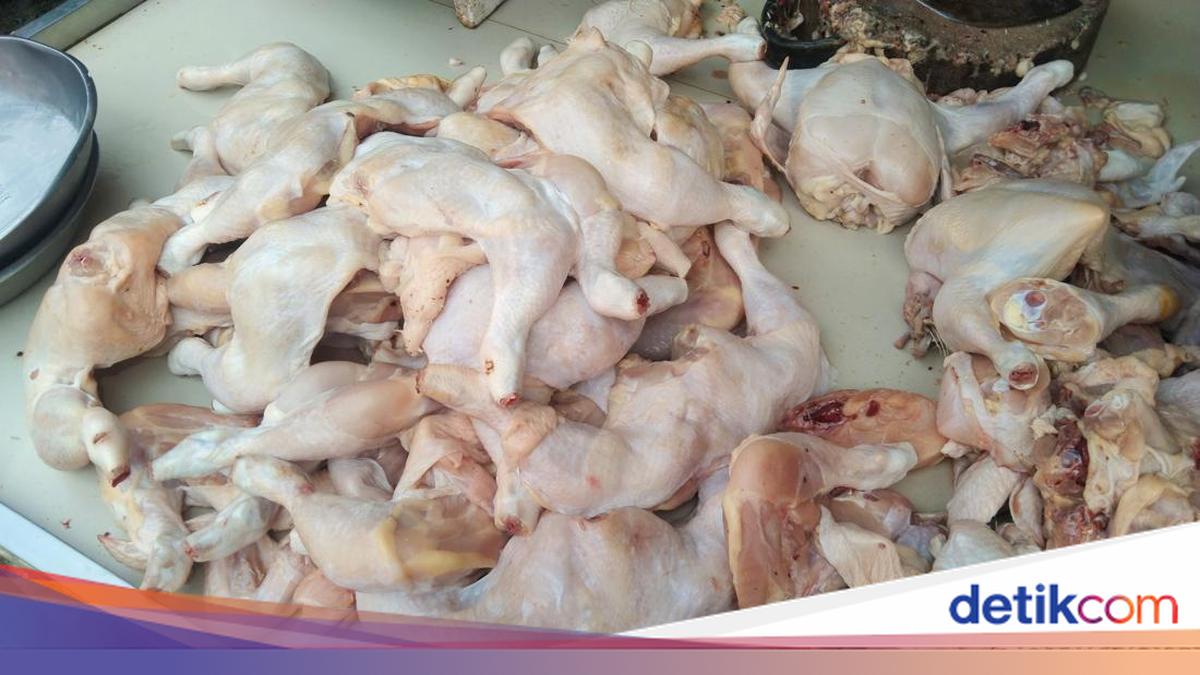 Tumpukan daging ayam segar di pasar tradisional Kota Medan